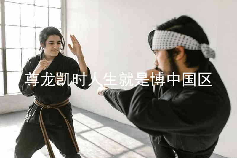 尊龙凯时人生就是博中国区